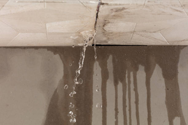 Professional Structural Drying technician working in Twin Lake, MI